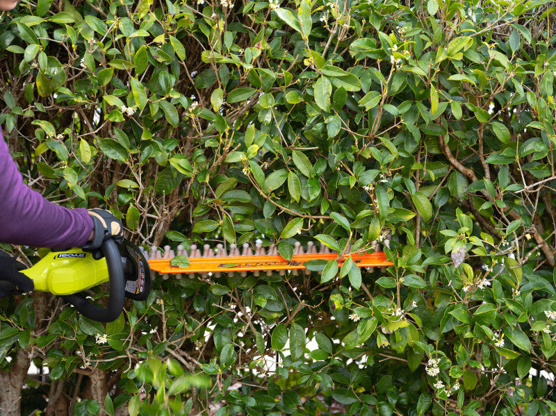 18V ONE+ 22″ LITHIUM-ION ELECTRIC HEDGE TRIMMER CORDLESS WITH 2.0 AH BATTERY AND CHARGER | RYOBI