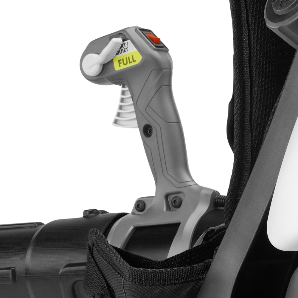 2 CYCLE 760 CFM BACKPACK BLOWER | RYOBI