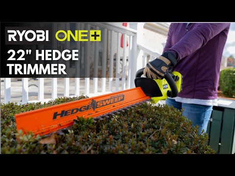 18V ONE+ 22″ HEDGE TRIMMER | RYOBI