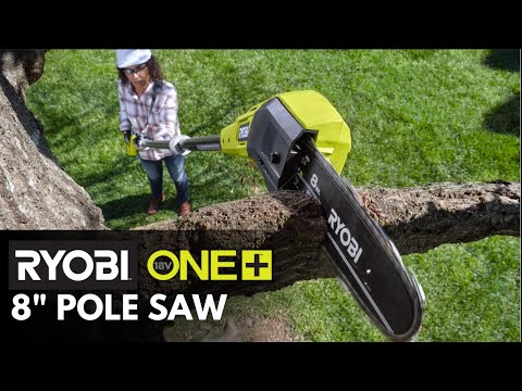 18V ONE+ 8″ POLE SAW | RYOBI