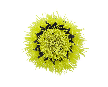 2 PC. MEDIUM BRISTLE BRUSH CLEANING ACCESSORY KIT | RYOBI