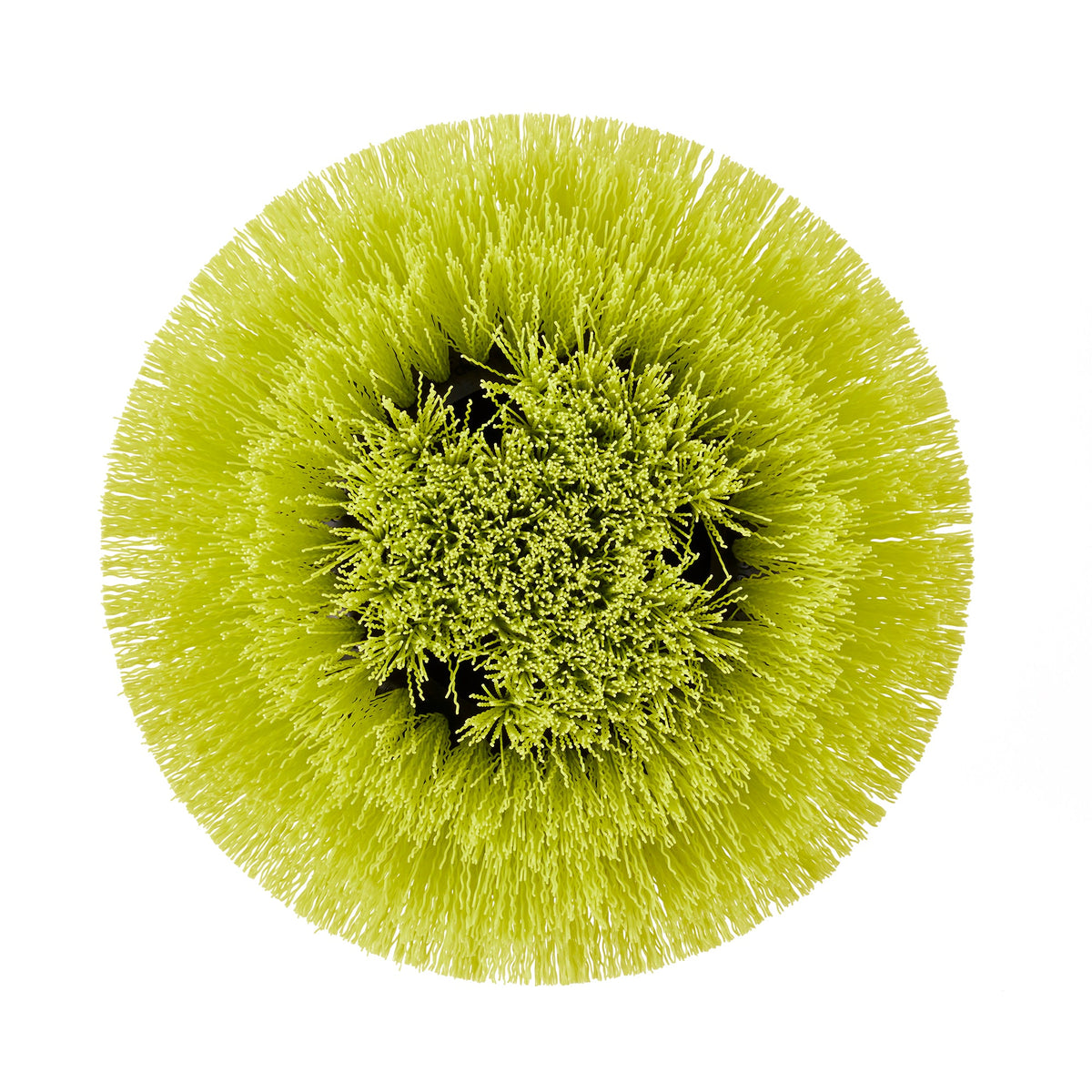 MEDIUM BRISTLE ROUND BRUSH | RYOBI