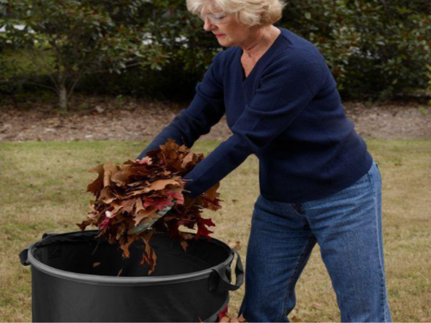 LAWN AND LEAF BAG | RYOBI