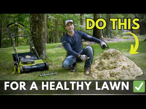 18V ONE+ HP BRUSHLESS 14″ DETHATCHER/AERATOR KIT | RYOBI